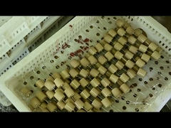 ক্যাপাসিটিভ ইনসুলেটরের জন্য উচ্চ ভোল্টেজ 40.5kVAC-100pF 4000V সিরামিক ক্যাপাসিটর